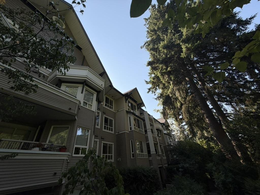 Eighteen Trees, Burnaby, photo 2